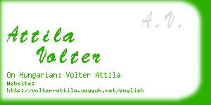 attila volter business card